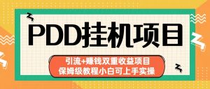 拼多多挂机项目 引流+赚钱双重收益项目(保姆级教程小白可上手实操)-资源宝库