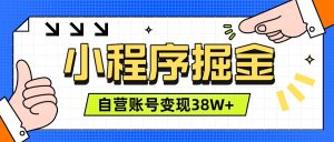 微信小程序掘金,团队自营小程序累计变现38W+,稳定运营三年,一部手机即可操作-资源宝库