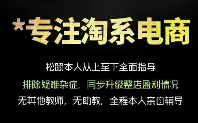 松鼠会电商VIP课程,从基础布局到高阶优化,助你掌握淘宝运营逻辑,提升店铺流量与转化(更新0910)-资源宝库