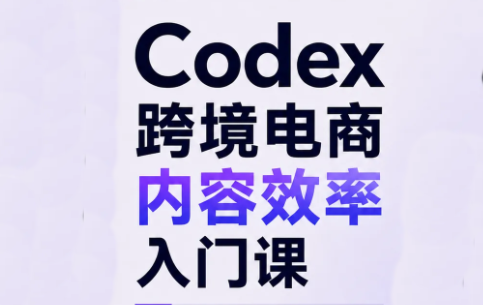Codex跨境电商内容效率入门课-资源宝库