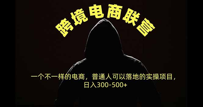 跨境电商联营，一个不一样的电商，普通人可操作日入300-500+-资源宝库
