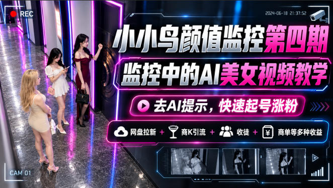 小小鸟颜值监控第四期，监控中的AI美女视频教学，去AI提示，快速起号涨粉，网盘拉新+商K引流+收徒+商单等多种收益-资源宝库