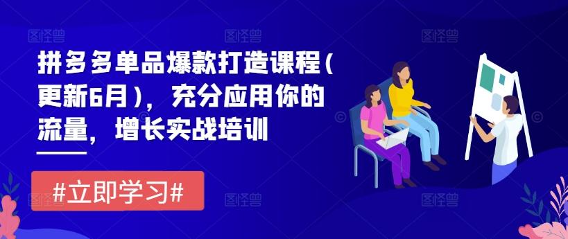 拼多多单品爆款打造课程(更新6月)，充分应用你的流量，增长实战培训-资源宝库