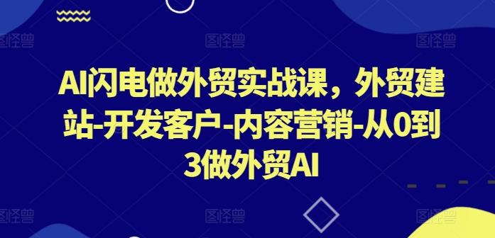AI闪电做外贸实战课，​外贸建站-开发客户-内容营销-从0到3做外贸AI(更新)-资源宝库