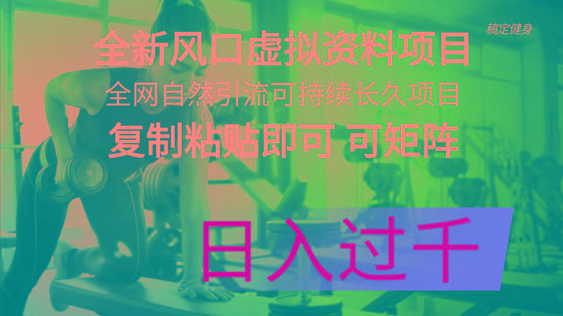 全新风口虚拟资料项目 全网自然引流可持续长久项目 复制粘贴即可可矩阵…-资源宝库