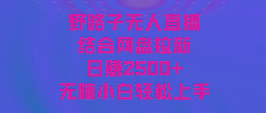 无人直播野路子结合网盘拉新，日赚2500+多平台变现，小白无脑轻松上手操作-资源宝库