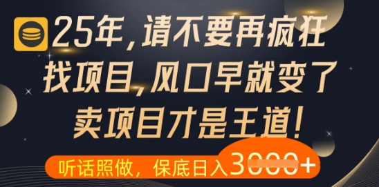 什么?25年你还在疯狂找项目做,醒醒吧,看完这些你全都懂了【揭秘】-资源宝库