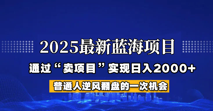 2025年蓝海项目,如何通过“网创项目”日入2000+-资源宝库