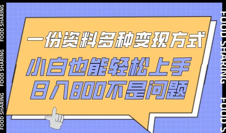 一份资料多种变现方式,小白也能轻松上手,日入800不是问题【揭秘】