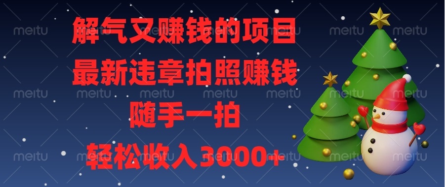 解气又赚钱的项目，最新违章拍照赚钱，随手一拍，轻松收入3000+-资源宝库