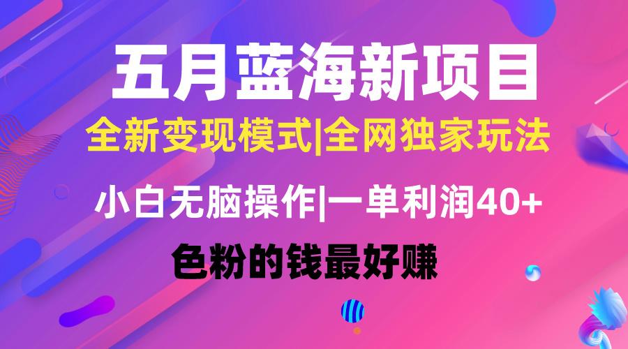 五月蓝海项目全新玩法，小白无脑操作，一天几分钟，矩阵操作，月入4万+-资源宝库