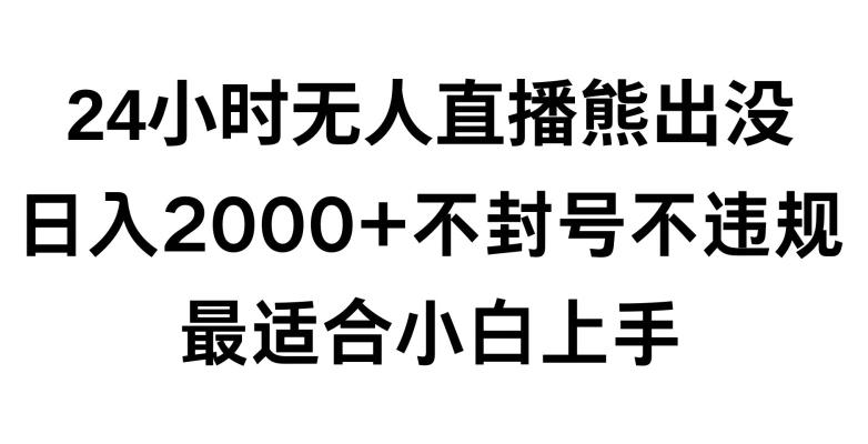 快手24小时无人直播熊出没，不封直播间，不违规，日入2000+，最适合小白上手，保姆式教学【揭秘】-资源宝库