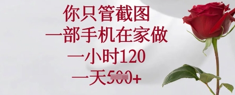 你只管截图,一部手机在家做,一小时120.一天5张【揭秘】-资源宝库
