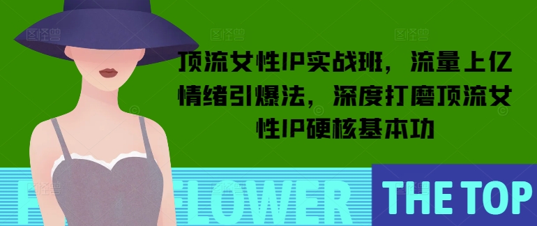 顶流女性IP实战班,流量上亿情绪引爆法,深度打磨顶流女性IP硬核基本功-资源宝库