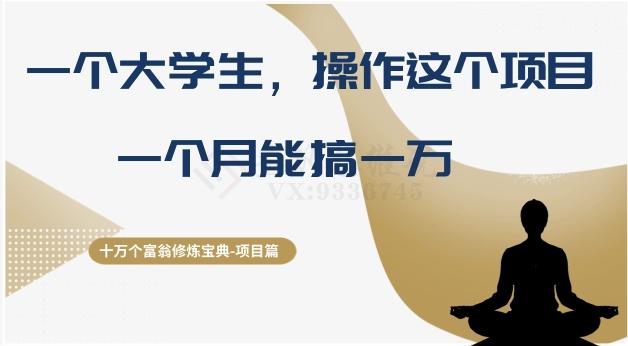 十万个富翁修炼宝典之4.一个大学生操作这个项目，一个月能搞一万-资源宝库