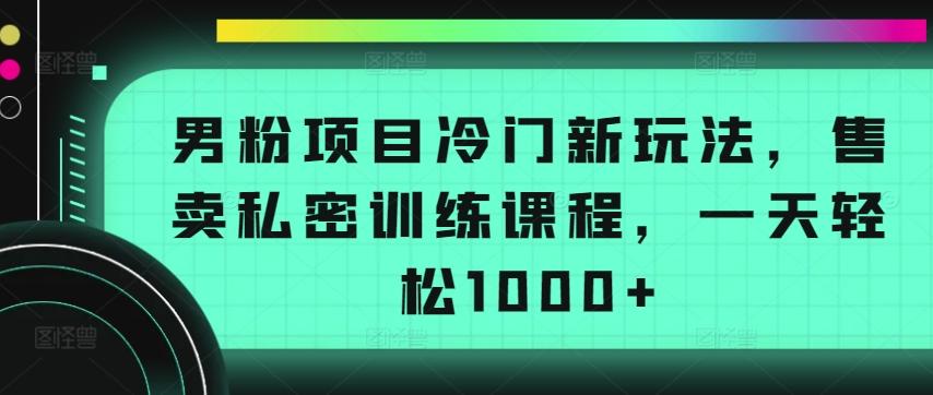 男粉项目冷门新玩法，售卖私密训练课程，一天轻松1000+【揭秘】-资源宝库
