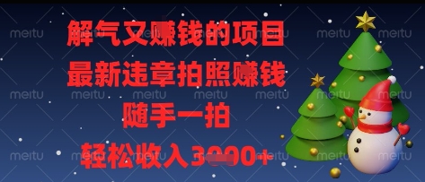 解气又挣钱的项目，最新违章拍照挣钱，随手一拍，轻松收入多张【揭秘】-资源宝库