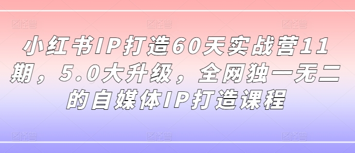 小红书IP打造60天实战营11期，5.0大升级，全网独一无二的自媒体IP打造课程-资源宝库