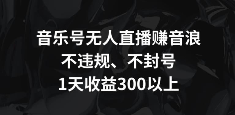 音乐号无人直播赚音浪，不违规、不封号，1天收益300+【揭秘】-资源宝库