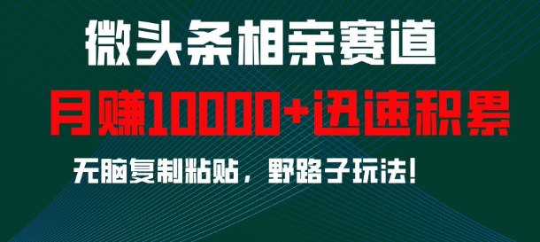 微头条相亲赛道，迅速积累，无脑复制粘贴，野路子玩法，月入1w-资源宝库