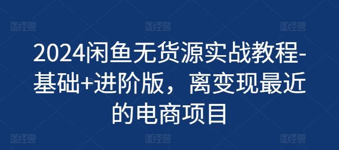 2024闲鱼无货源实战教程-基础+进阶版，离变现最近的电商项目-资源宝库