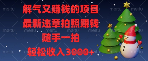 解气又挣钱的项目，最新违章拍照挣钱，随手一拍，轻松收入数张【揭秘】-资源宝库