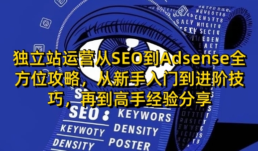 独立站运营从SEO到Adsense全方位攻略，从新手入门到进阶技巧，再到高手经验分享-资源宝库