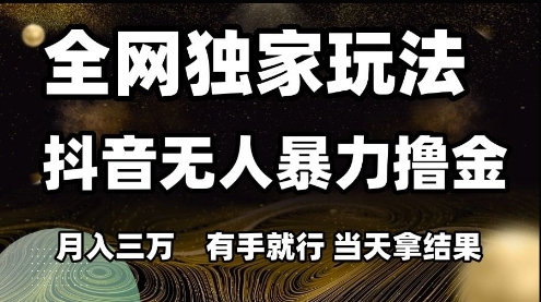 全网独家玩法抖音无人暴力撸金,月入3W,有手就行,当天拿结果【揭秘】-资源宝库