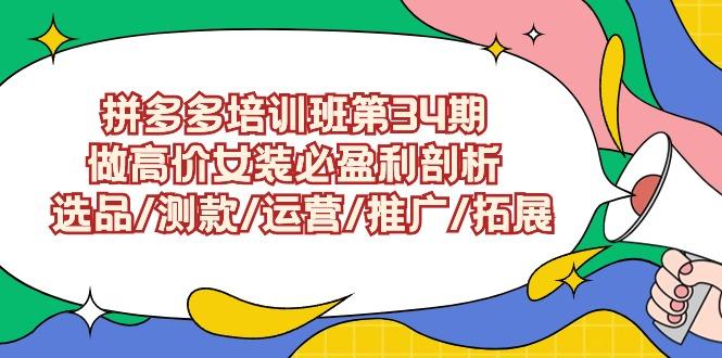 (9333期)拼多多培训班第34期：做高价女装必盈利剖析  选品/测款/运营/推广/拓展-资源宝库