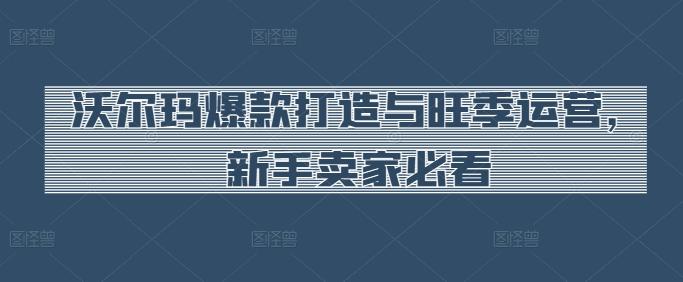 沃尔玛爆款打造与旺季运营，新手卖家必看-资源宝库