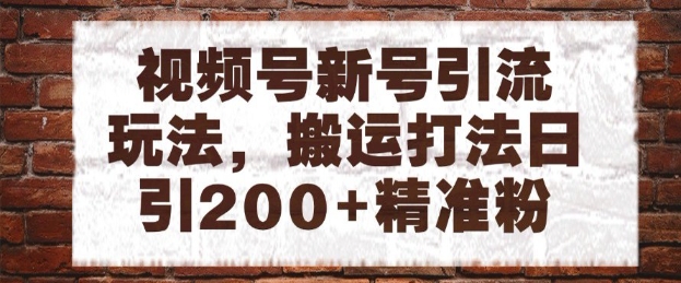 视频号新号引流玩法，搬运打法日引200+精准粉，可矩阵放大【揭秘】-资源宝库