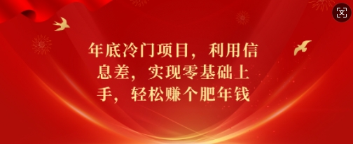 年底冷门项目，利用信息差，实现零基础上手，轻松赚个肥年钱【揭秘】-资源宝库
