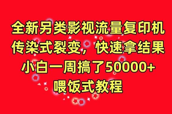 全新另类影视流量复印机，传染式裂变，快速拿结果，小白一周搞了50000+，喂饭式教程【揭秘】-资源宝库