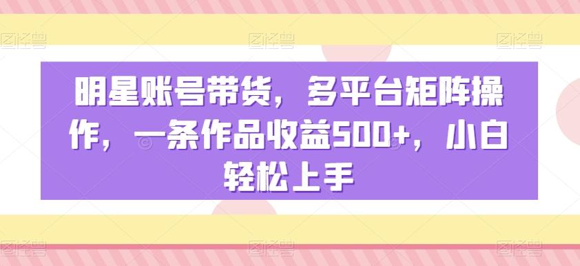 明星账号带货，多平台矩阵操作，一条作品收益500+，小白轻松上手【揭秘】-资源宝库