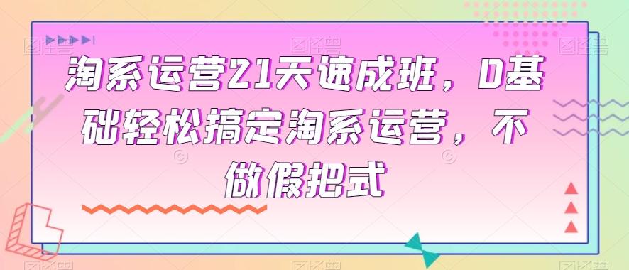淘系运营21天速成班，0基础轻松搞定淘系运营，不做假把式-资源宝库