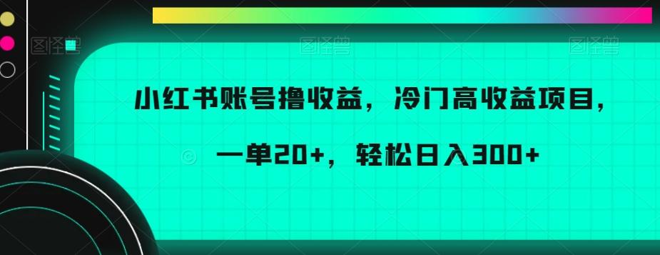 小红书账号撸收益，冷门高收益项目，一单20+，轻松日入300+【揭秘】-资源宝库