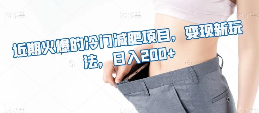 近期火爆的冷门减肥项目，变现新玩法，日入200+-资源宝库