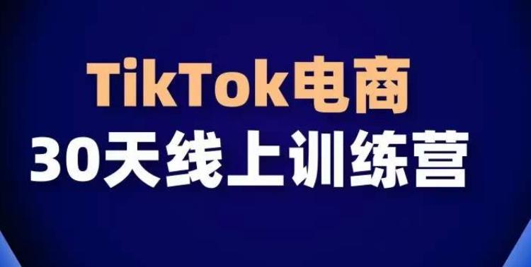 TikTok电商带货30天线上课，不可错过的全球流量洼地！-资源宝库