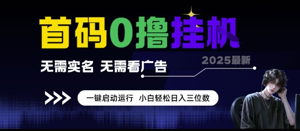 首码0撸挂G项目,无需实名无需看广告 一键启动运行,小白轻松日入三位数【揭秘】-资源宝库