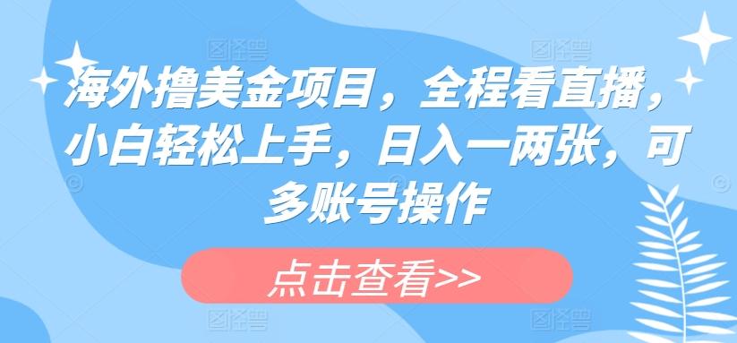 海外撸美金项目，全程看直播，小白轻松上手，日入一两张，可多账号操作【揭秘】-资源宝库