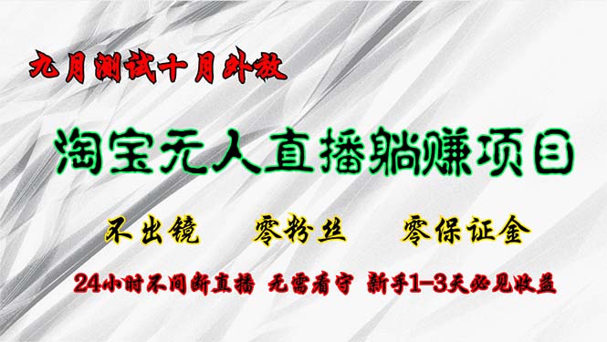 淘宝无人直播最新玩法，九月测试十月外放，不出镜零粉丝零保证金，24小…-资源宝库