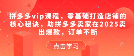 拼多多vip课程,零基础打造店铺的核心秘诀,助拼多多卖家在2025卖出爆款,订单不断-资源宝库