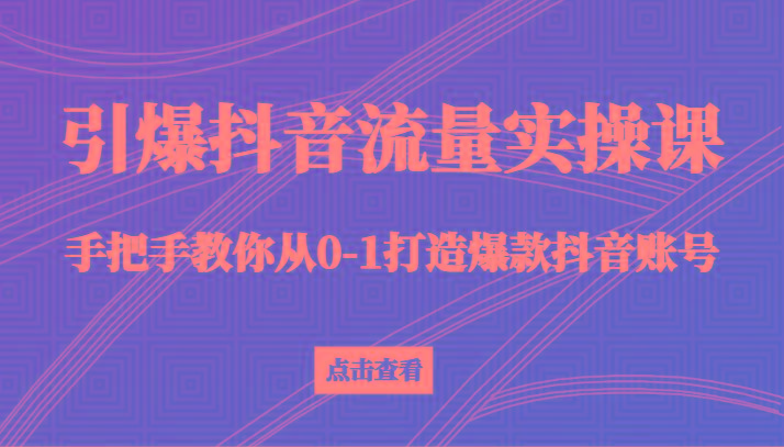引爆抖音流量实操课，手把手教你从0-1打造爆款抖音账号(27节课)-资源宝库