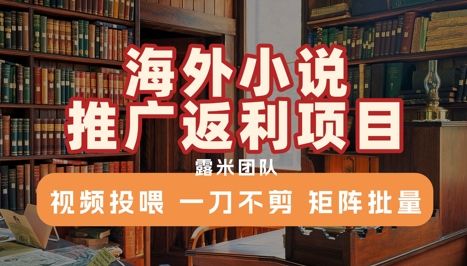 海外小说推广返利项目,视频投喂, 一刀不剪,矩阵批量-资源宝库