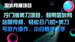 冷门撸美刀项目，利用国外网站刷视频，轻松日入80+美刀，可放大操作，小白随便上手-资源宝库