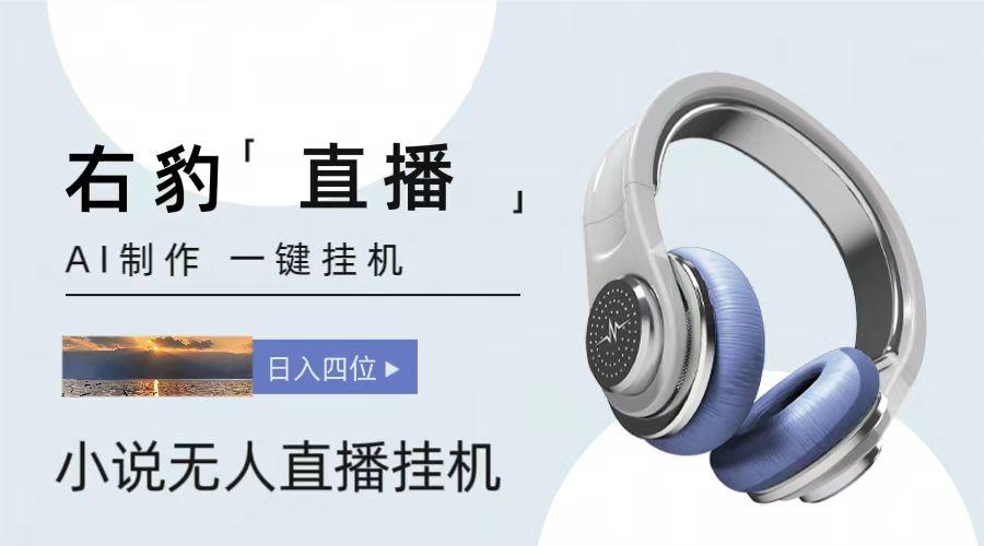 右豹小说无人直播挂机吸金项目，简单易行收益稳定， 月入1000+-资源宝库