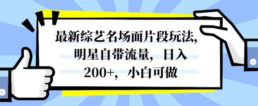 最新综艺名场面片段玩法，明星自带流量，日入200+，小白可做【揭秘】-资源宝库