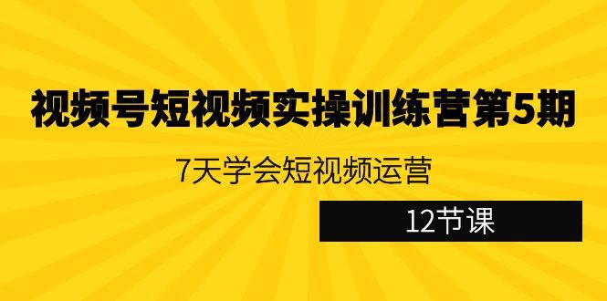 视频号短视频实操训练营第5期：7天学会短视频运营(12节课)-资源宝库