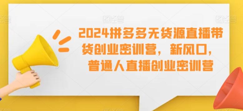 2024拼多多无货源直播带货创业密训营，新风口，普通人直播创业密训营-资源宝库