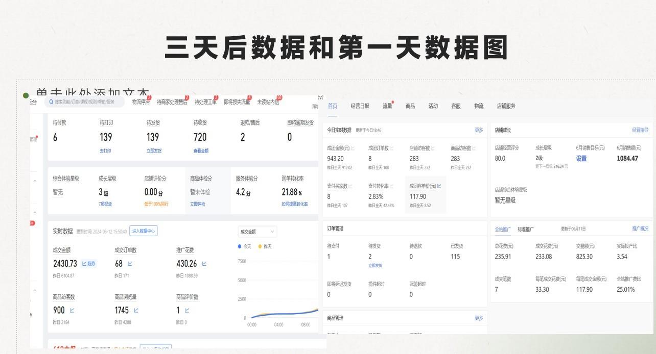 图片[3]-最新拼多多模式日入4K+两天销量过百单，无学费、老运营代操作、小白福利-资源宝库
